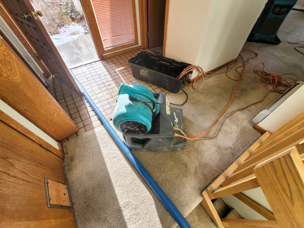 Best Water damage restoration near me  in Pleasant View, UT