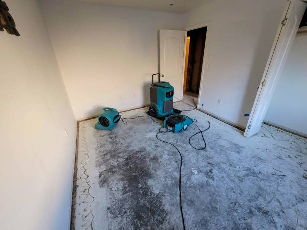 Best Emergency water damage restoration  in Pleasant View, UT