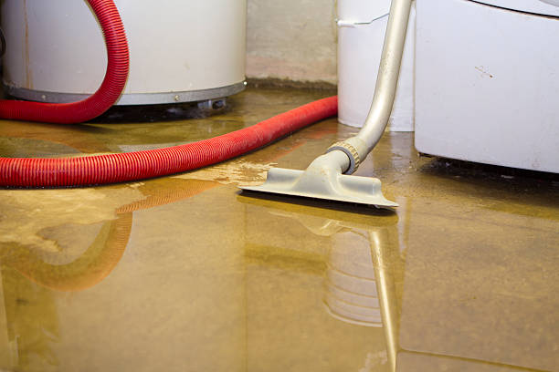Best Fire Damage Restoration  in Pleasant View, UT