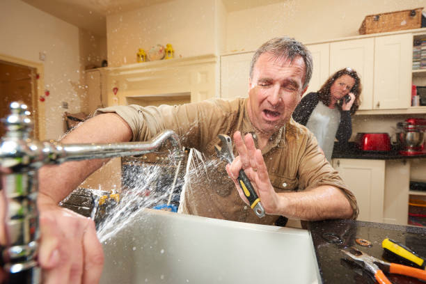 Best Local water damage restoration  in Pleasant View, UT